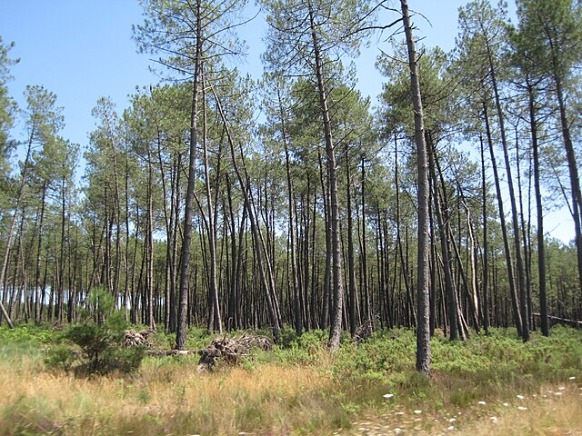 Expert bâtiment Landes 40